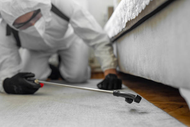Professional Cockroach Control technician working in El Centro, CA