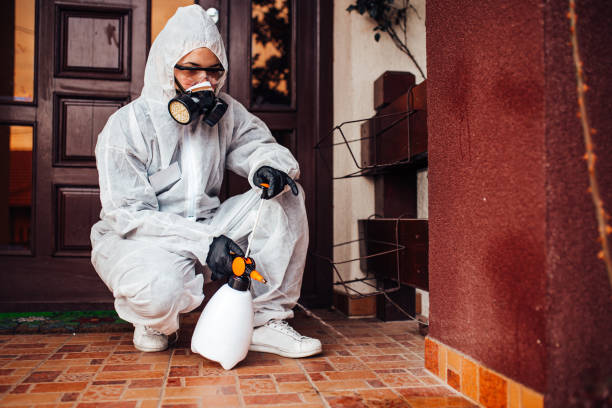 Reliable Cockroach Control contractor in El Centro, CA by Nex Pest Control